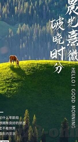 足球探比分足球即时比分-足球探比分，即时比分背后的激情与策略